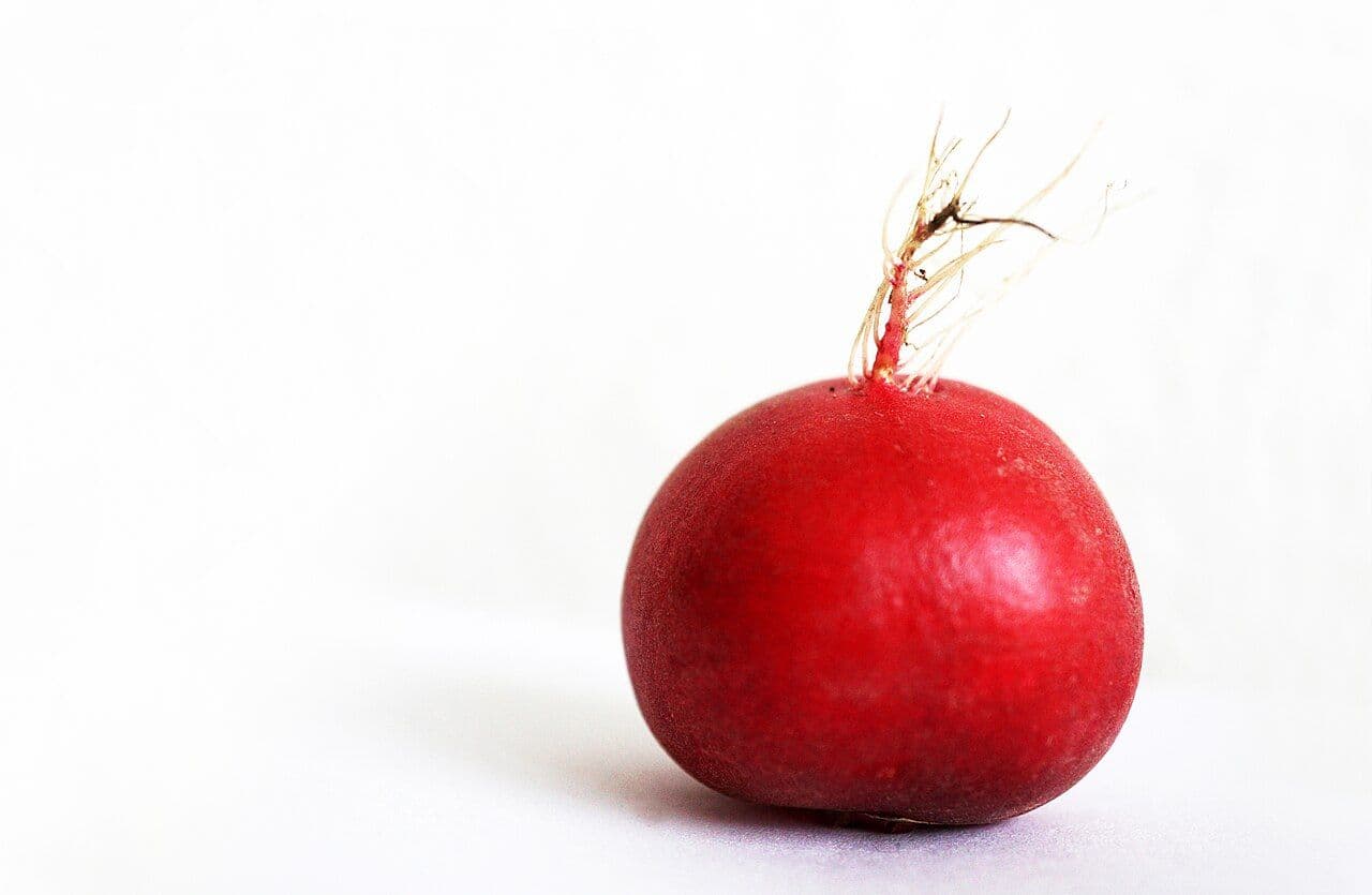 Cherry Red Round Radish Seeds