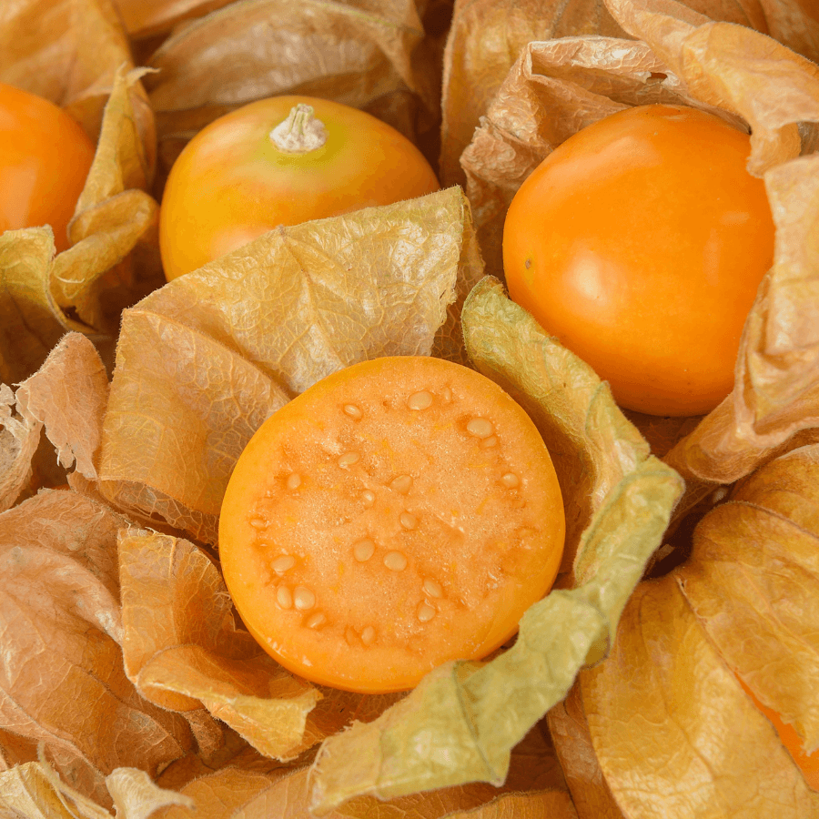 Physalis yellow sweet Seeds