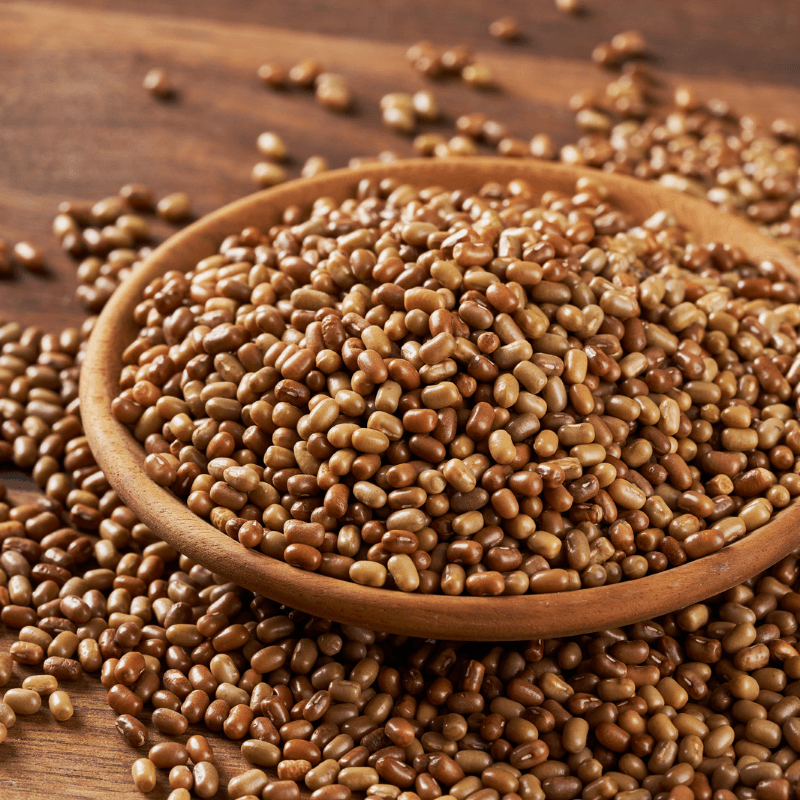 Mat bean white, Matki Seeds