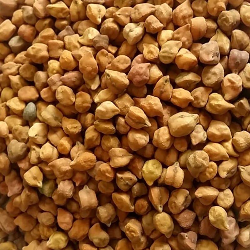 Chickpeas brown Seeds