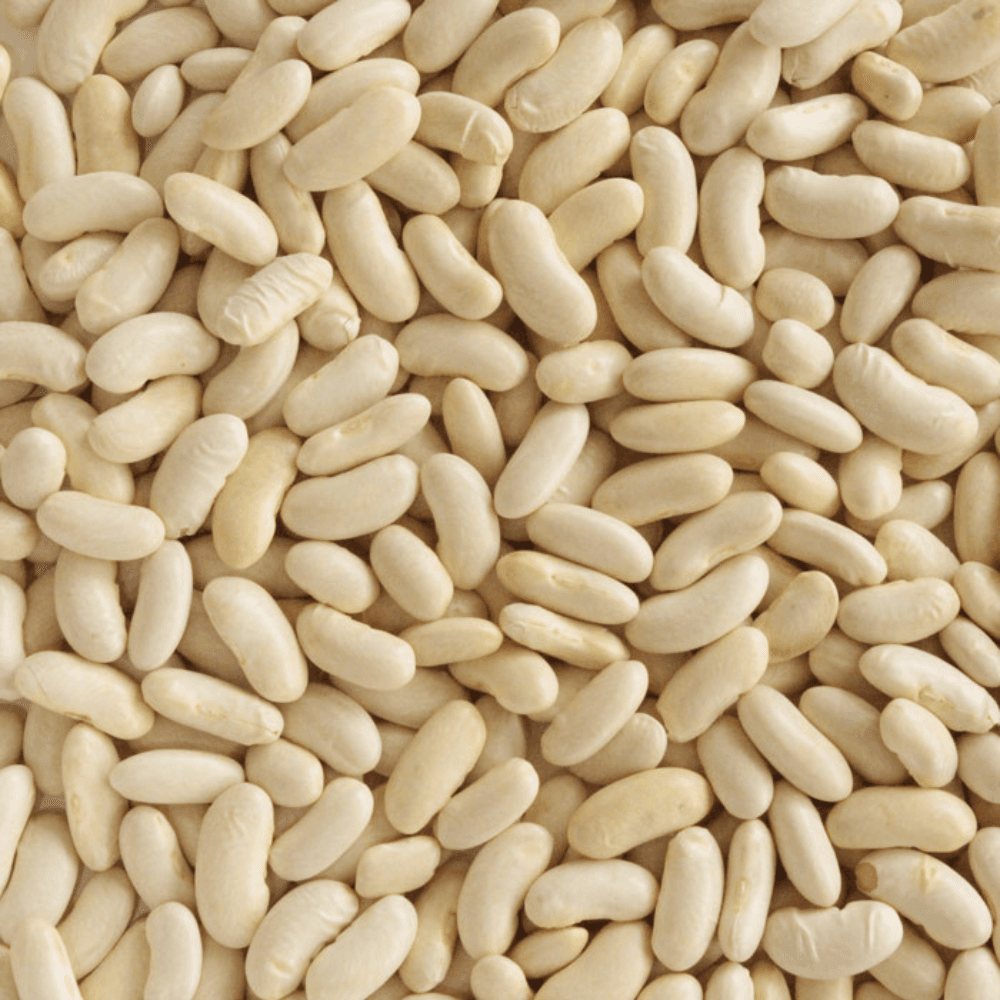 Munsyari Rajma Kidney Bean Seeds – White/Yellow