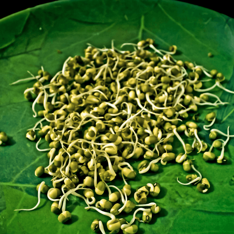 Green Moong Dal Seeds
