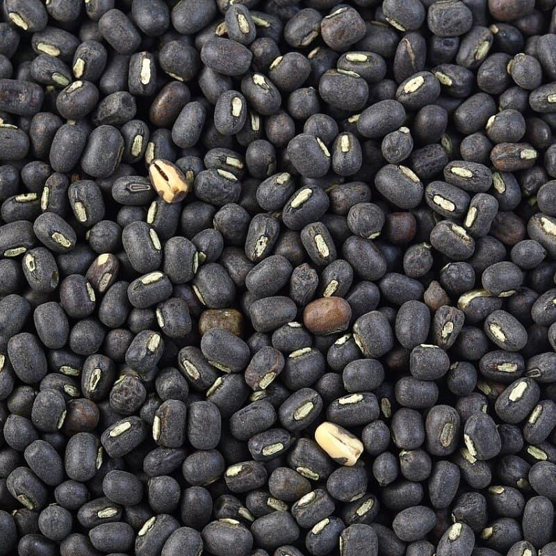 Black Kali moong dal Seeds