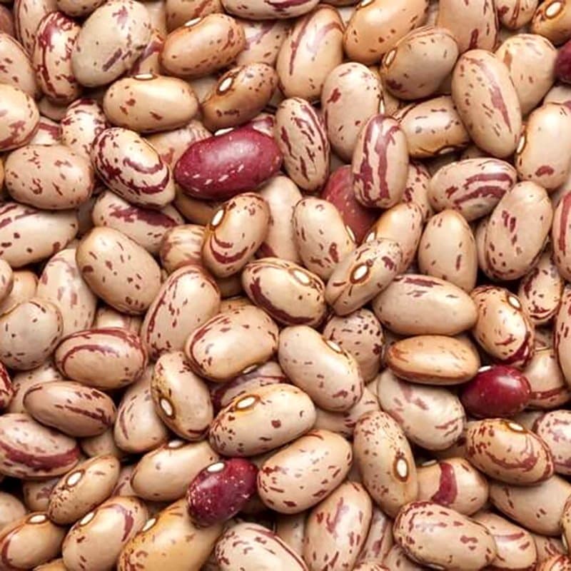 Rajma beans Chitra (pinto) Seeds