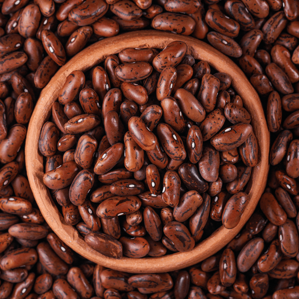 Rajma red variegated beans Joshimathi Seeds