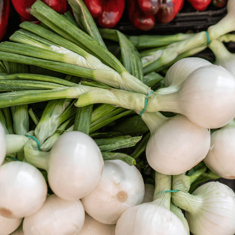 Onion white Seeds