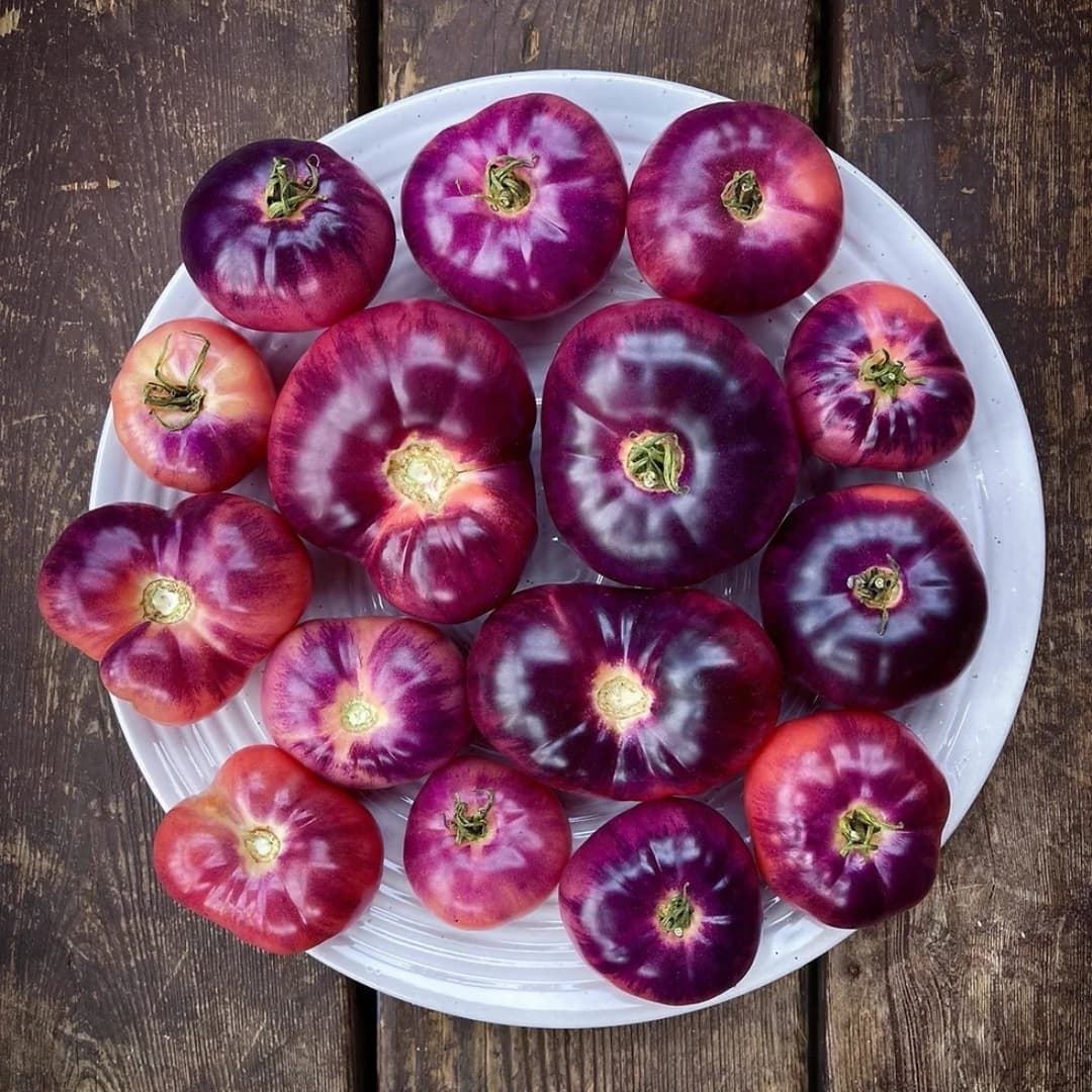 Tomato Amethyst Jewel Seeds
