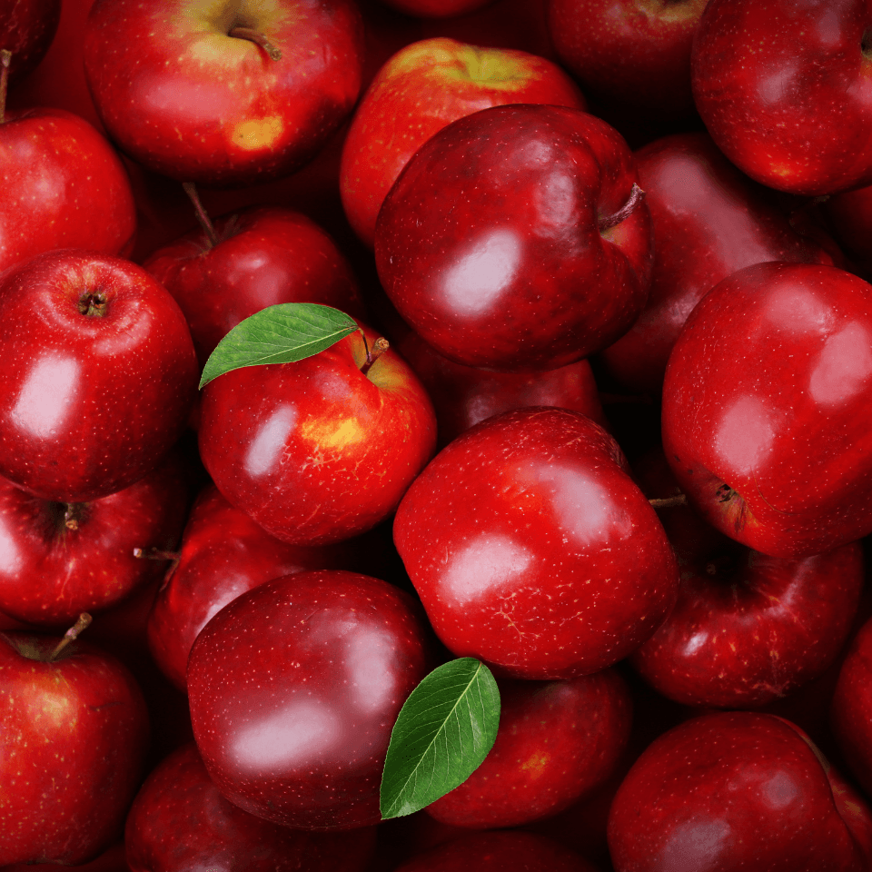 Apple red delicious Seeds