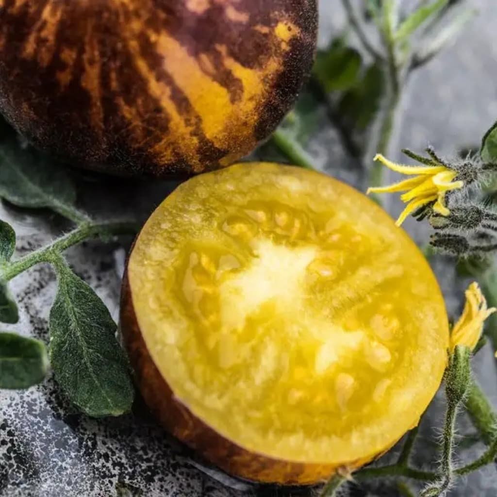 Tomato Woolly Kate, Shaggy kate Seeds