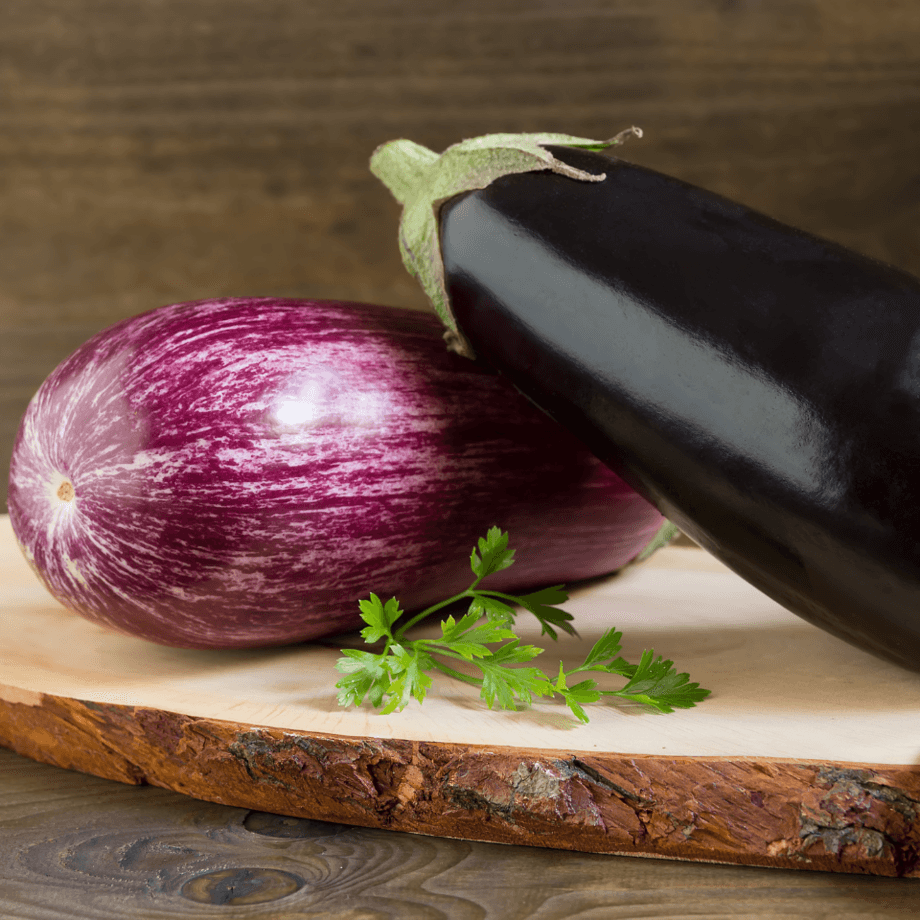 Eggplant seeds growing guide