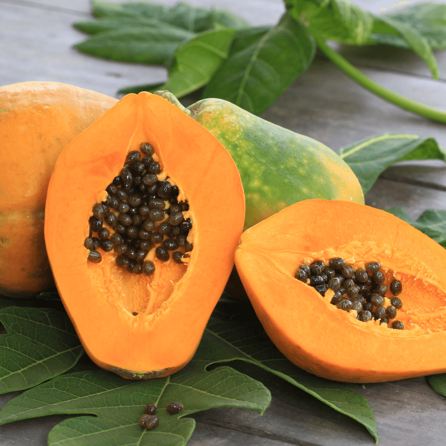 Papaya seeds growing guide