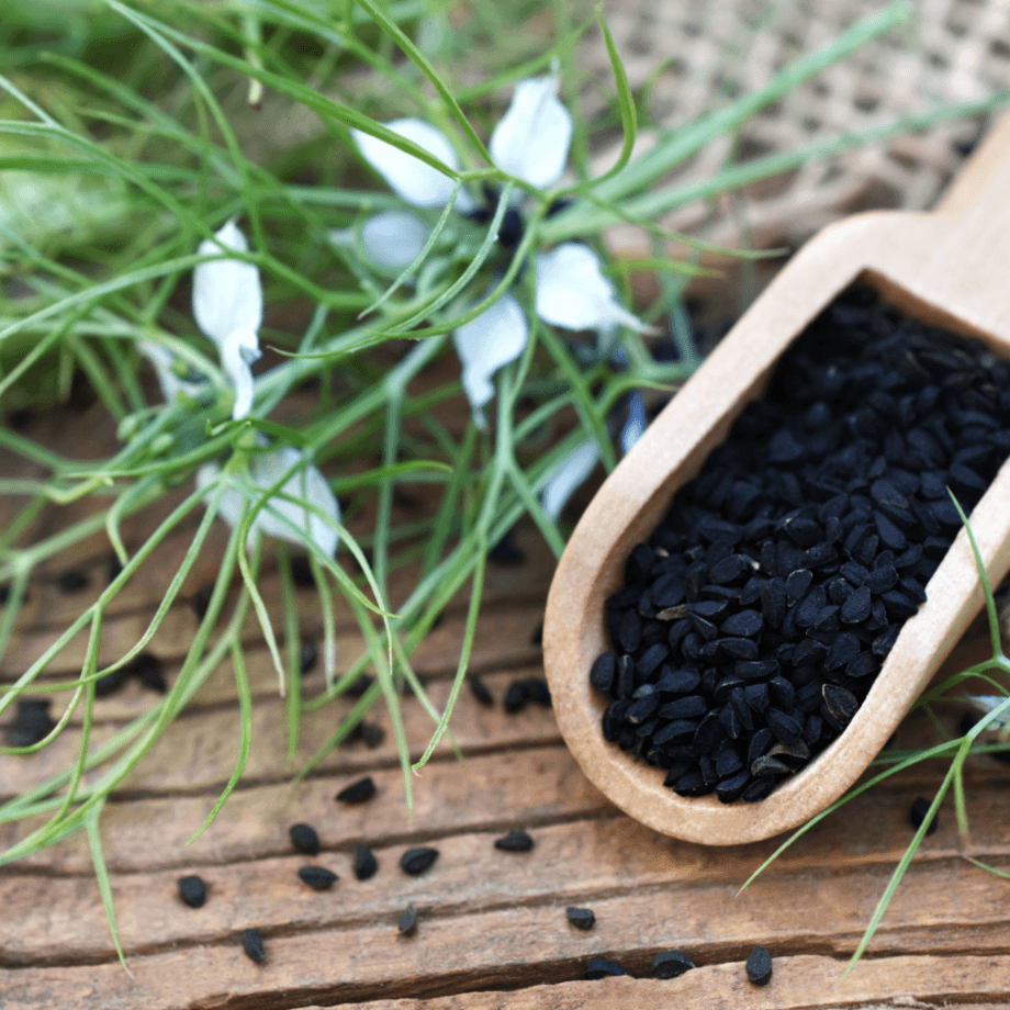 Black cumin seeds growing guide