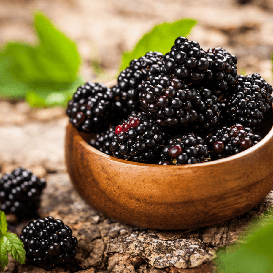 Blackberry seeds growing guide