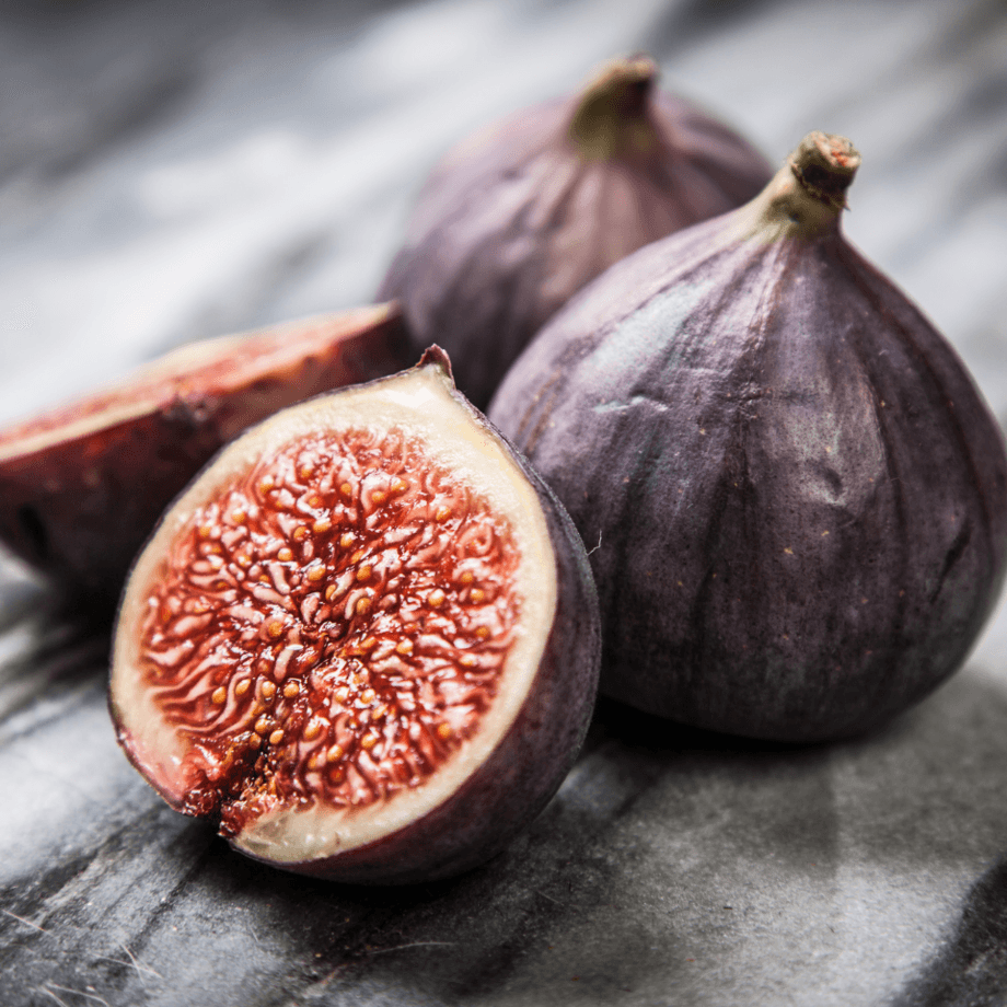Fig seeds growing guide