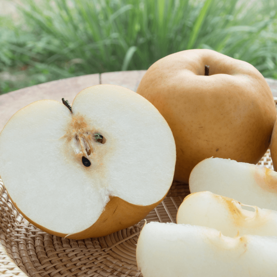 Pear seeds growing guide