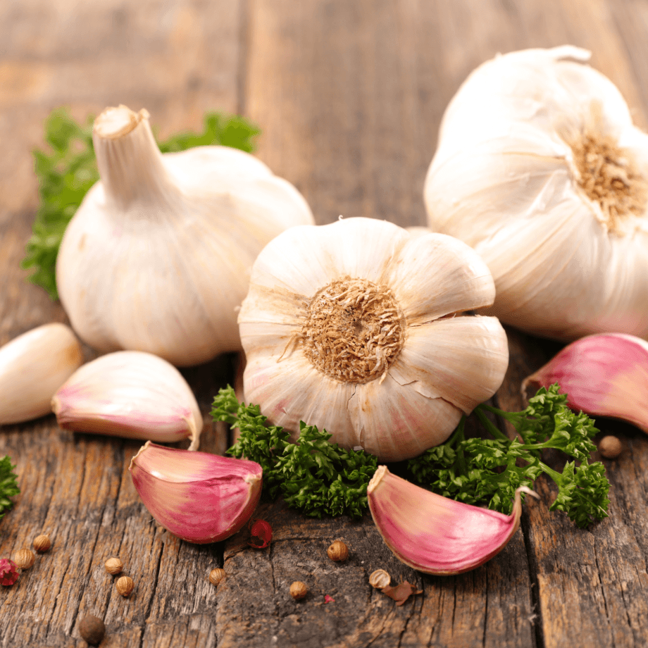 Garlic seeds growing guide