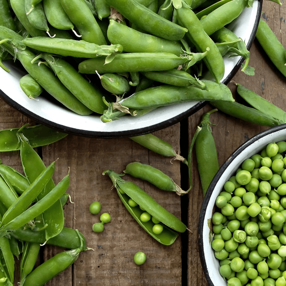 Pea seeds growing guide