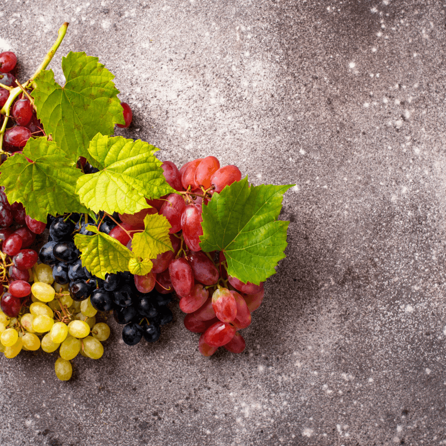 Grape seeds growing guide