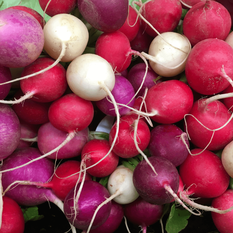 Turnip seeds growing guide