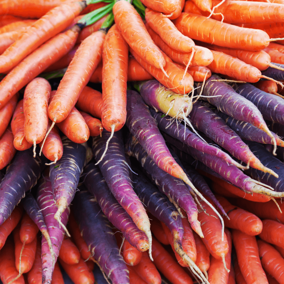 Carrot seeds growing guide