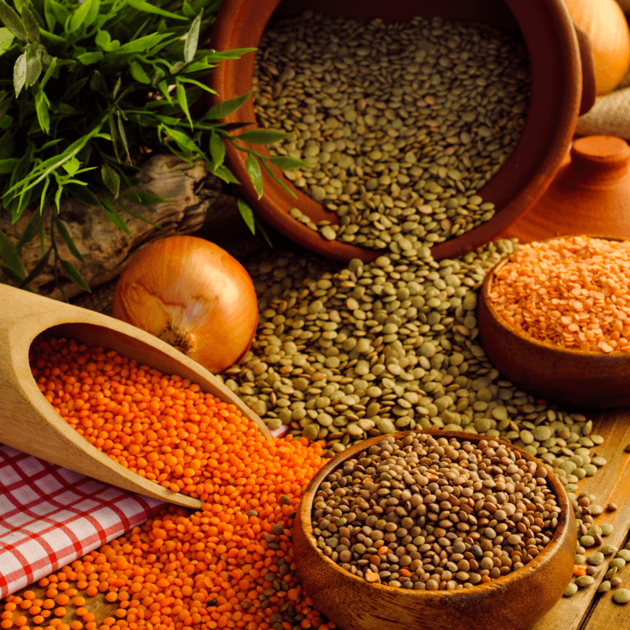 Lentil seeds growing guide