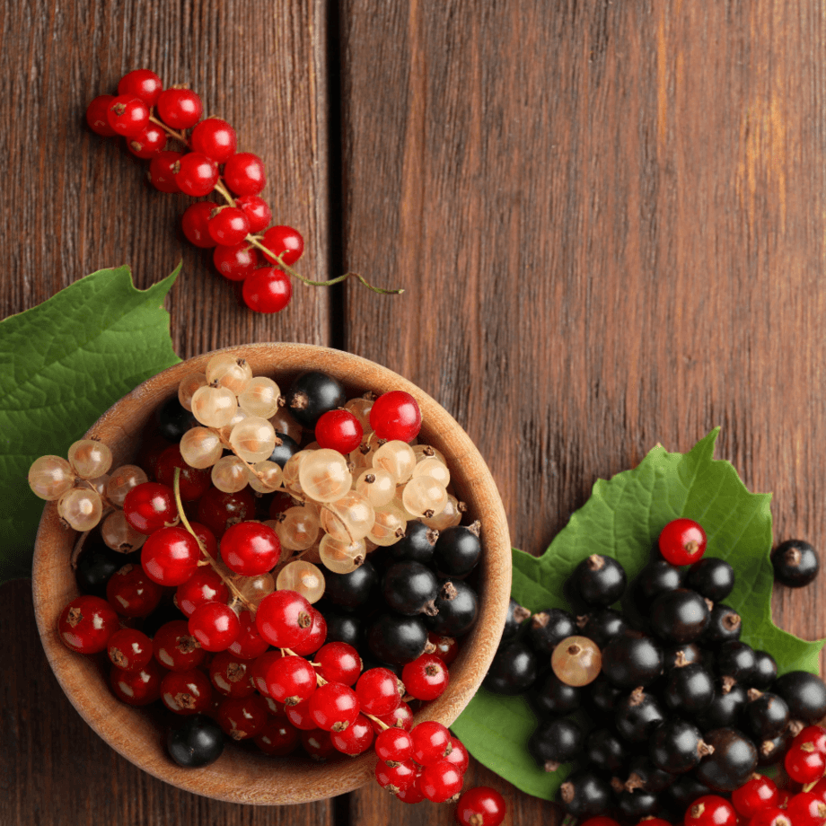 Currant seeds growing guide