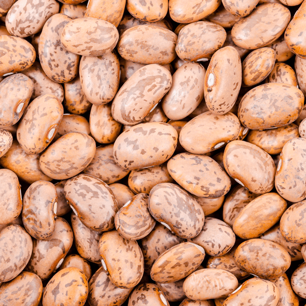 Kashmiri Cranberry Beans, Thull Rajma Seeds