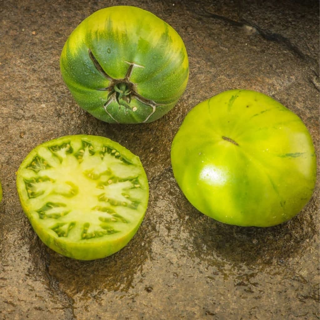 Tomato Quapaw Green Seeds