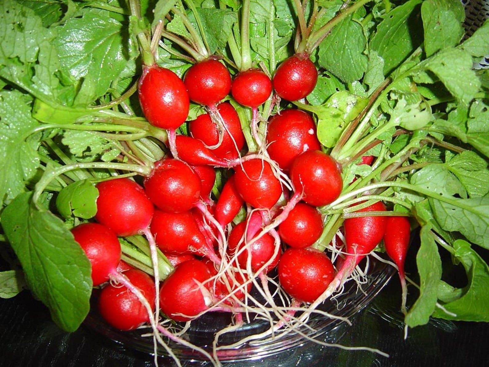 Red Round Radish Seeds