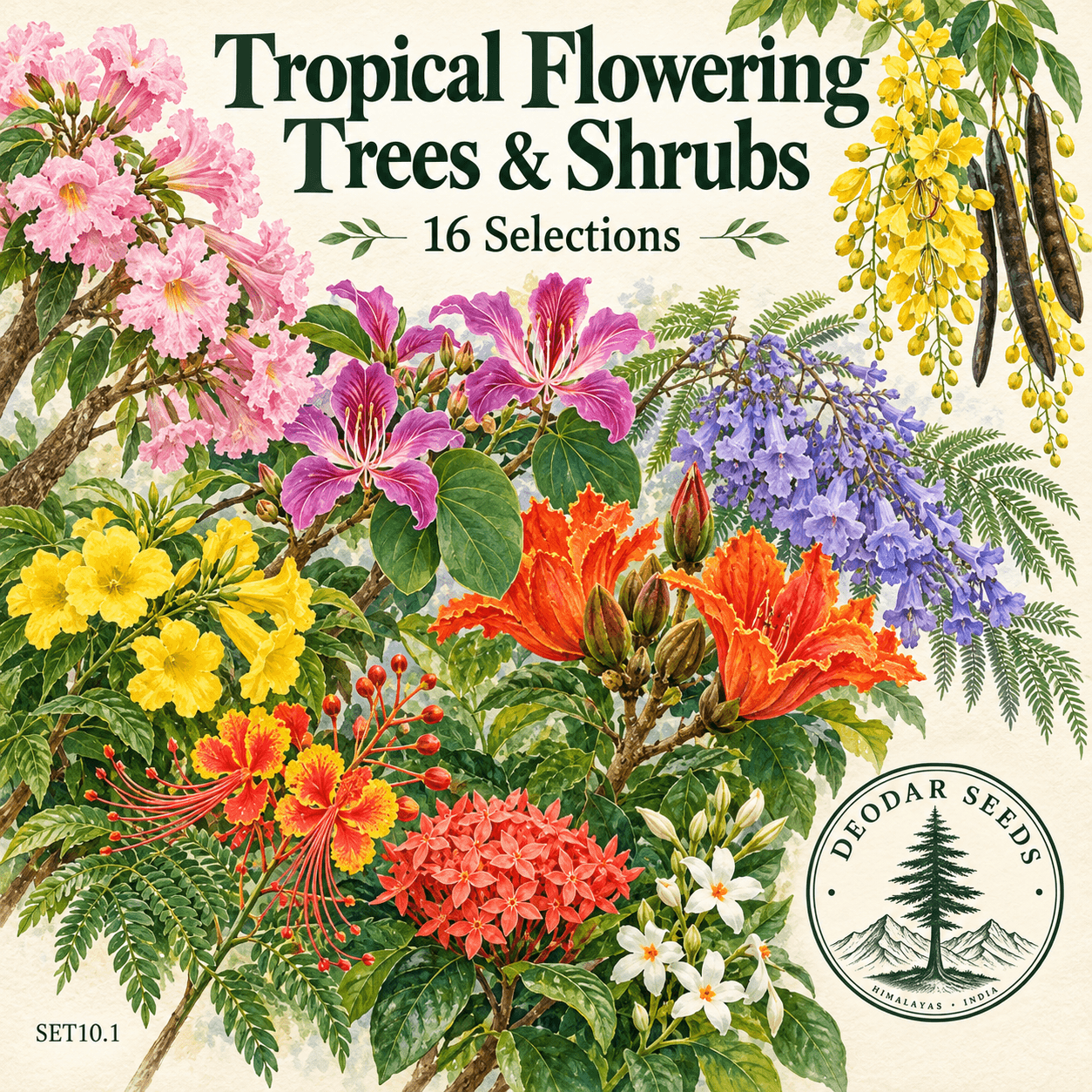 Tropical Flowering Tree & Shrub Collection — 16 Seed Selections