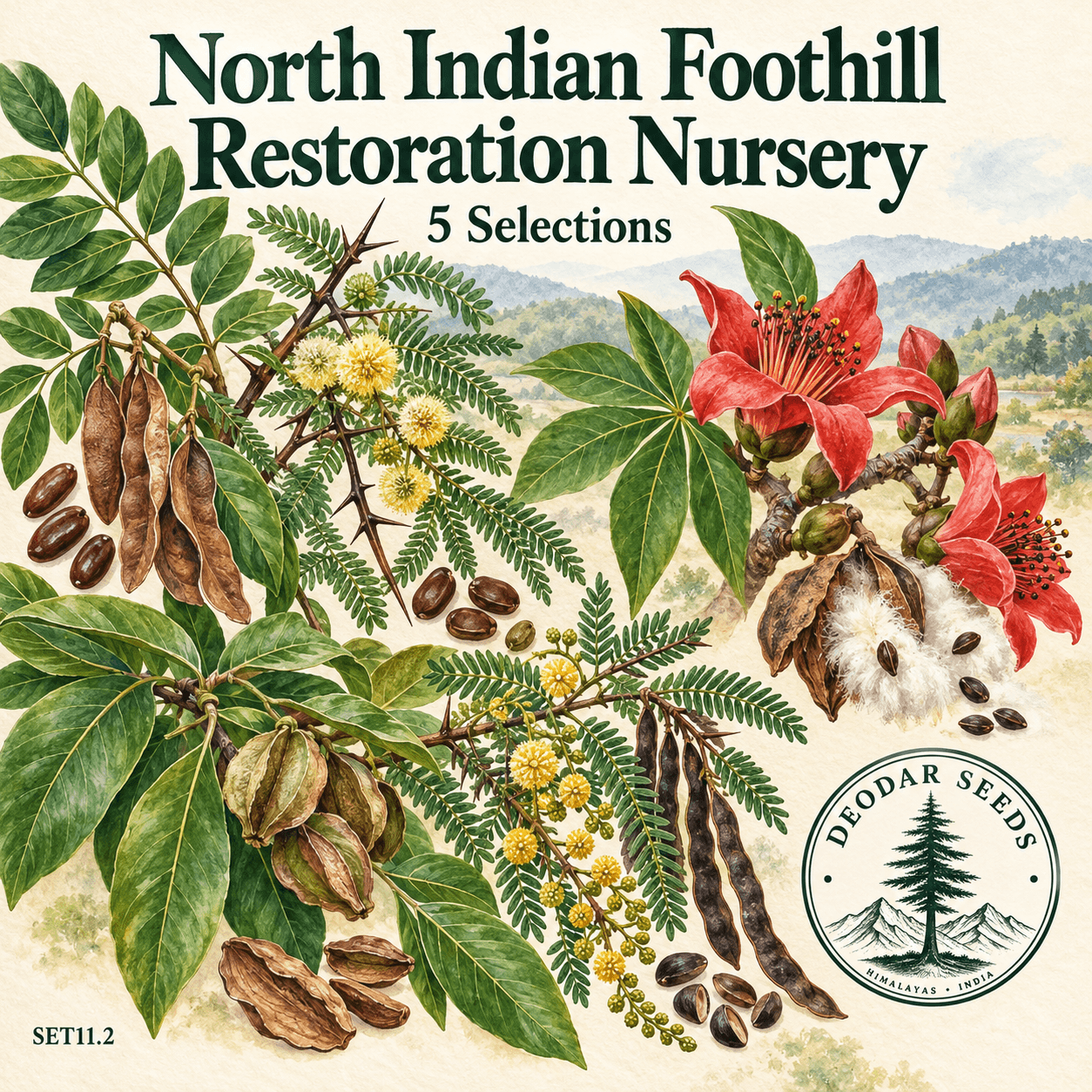 North Indian Foothill Forest Restoration Nursery Collection — 5 Seed Selections