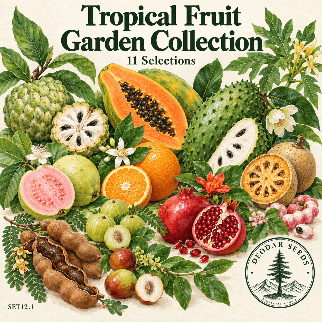 Tropical Fruit Garden Collection — 11 Seed Selections