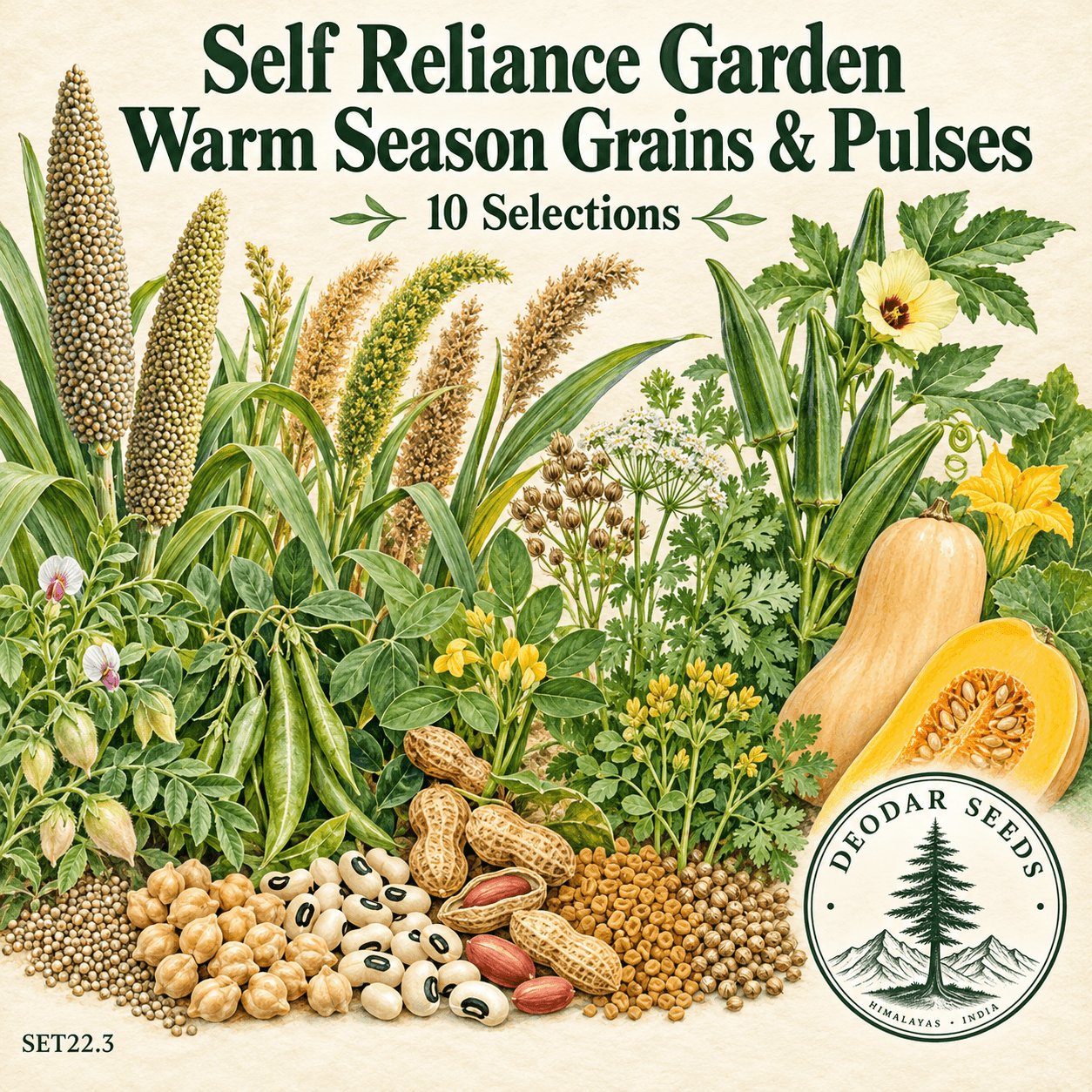 Self Reliance Garden Warm Season Grains & Pulses — 10 Seed Selections