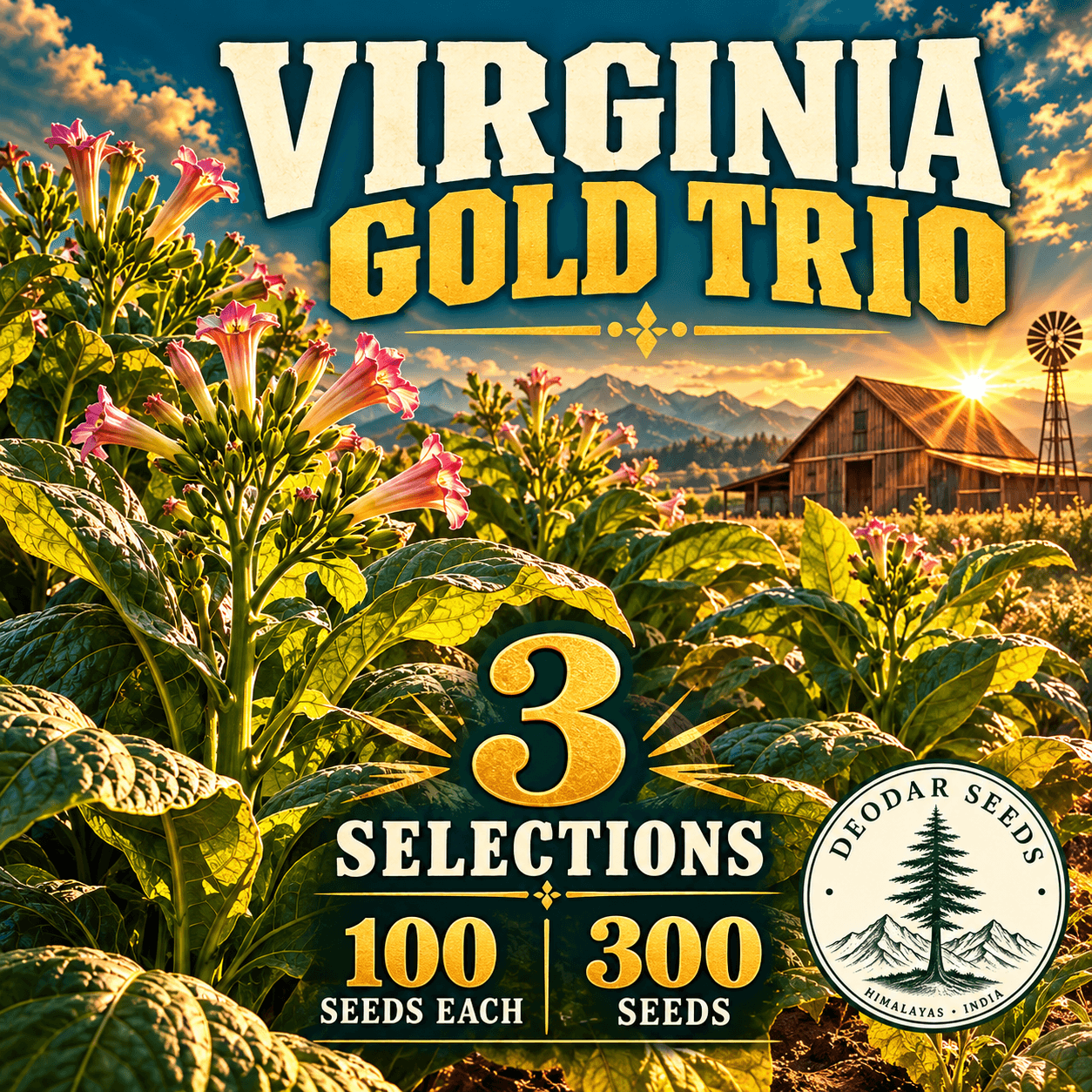 Virginia Gold Trio — 3 Seed Selections | Nicotiana tabacum — AI-generated kit illustration