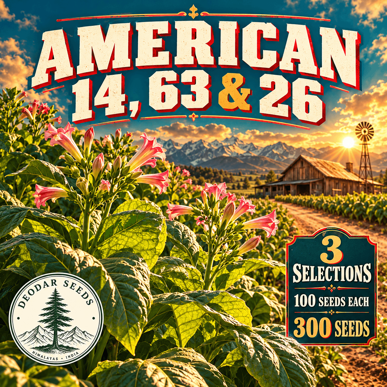 American 14, 63 & 26 — 3 Seed Selections | Nicotiana tabacum — AI-generated kit illustration