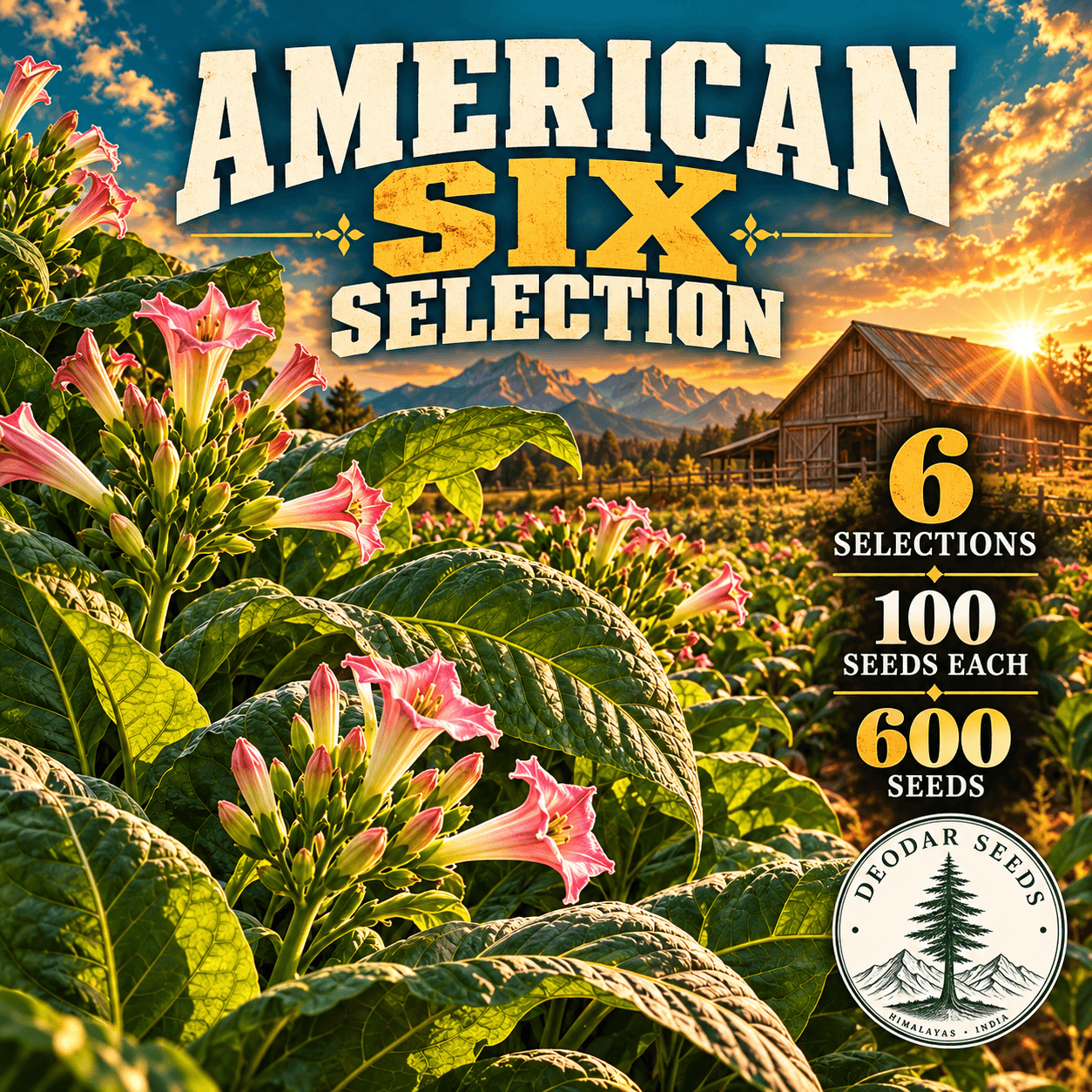 American Six Selection — 6 Seed Selections | Nicotiana tabacum — AI-generated kit illustration
