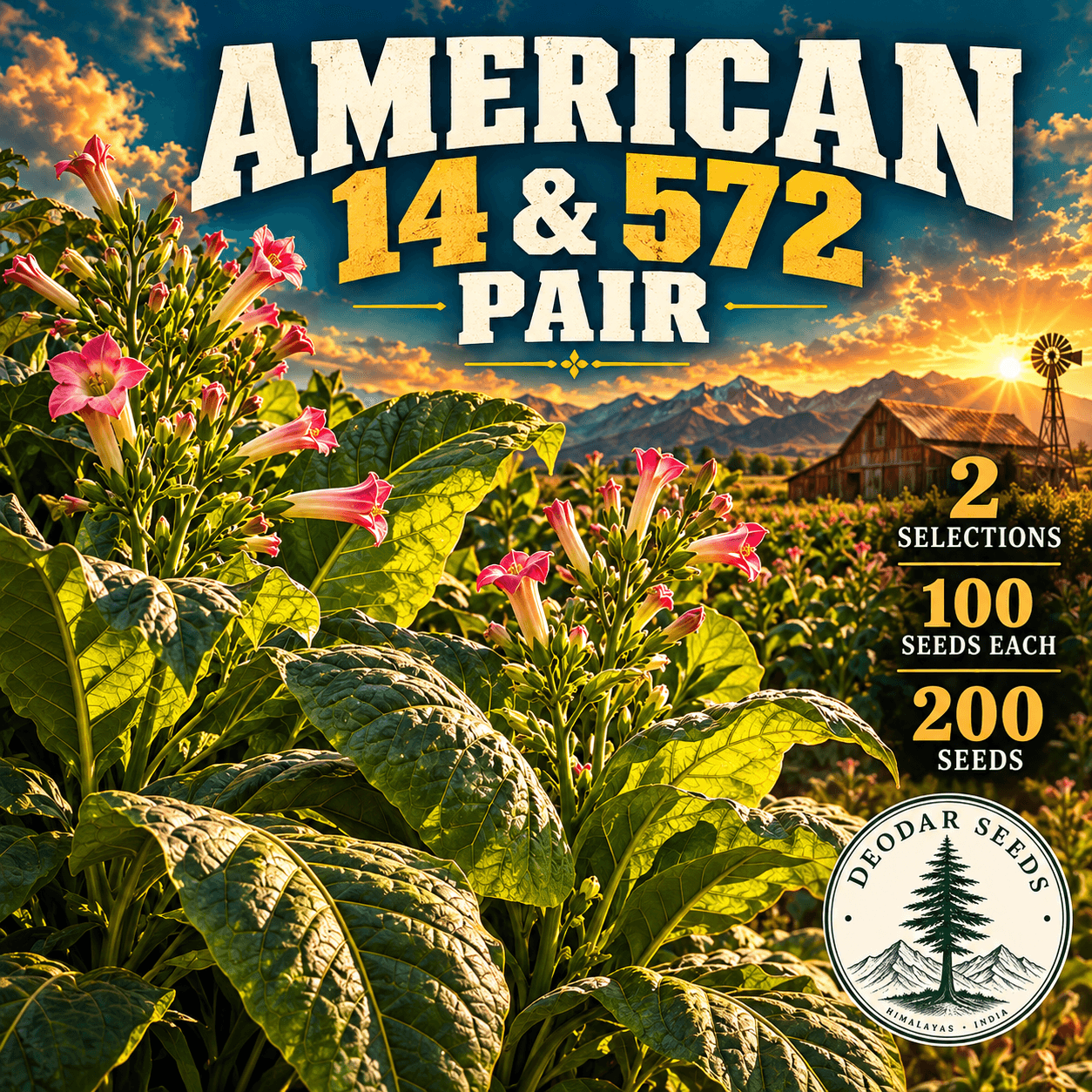 American 14 & 572 Pair — 2 Seed Selections | Nicotiana tabacum — AI-generated kit illustration