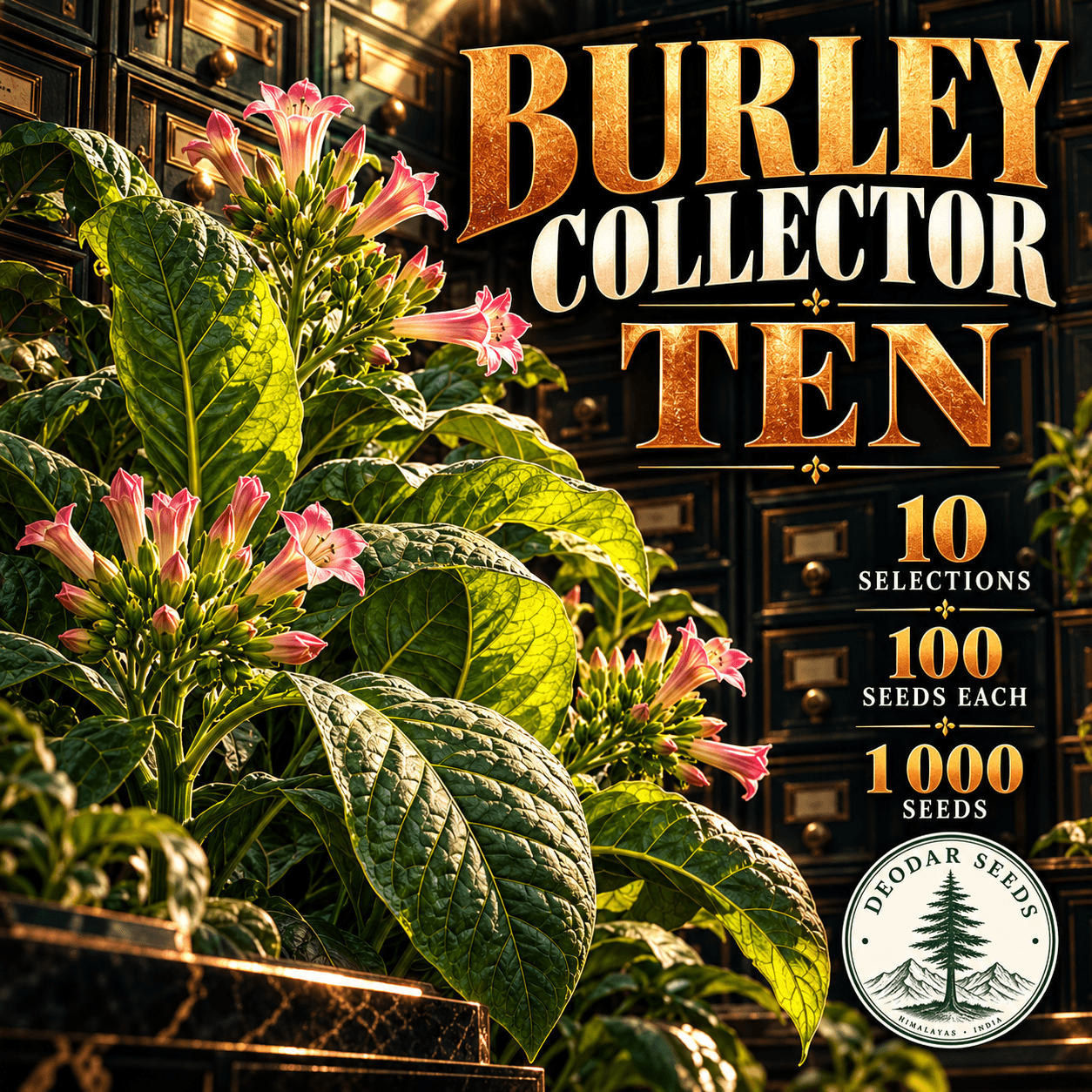 Burley Collector Ten — 10 Seed Selections | Nicotiana tabacum — AI-generated kit illustration