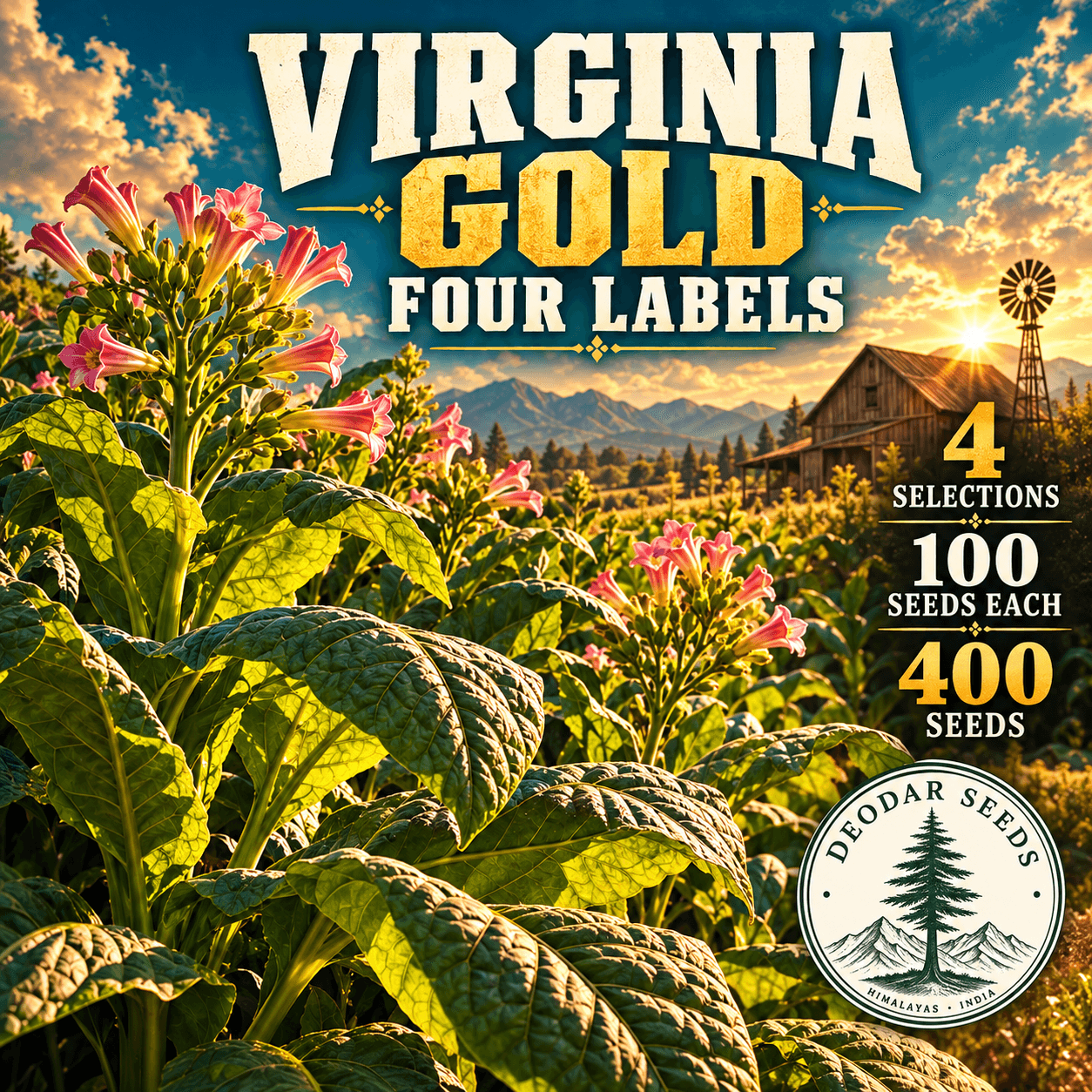 Virginia Gold Four Labels — 4 Seed Selections | Nicotiana tabacum — AI-generated kit illustration