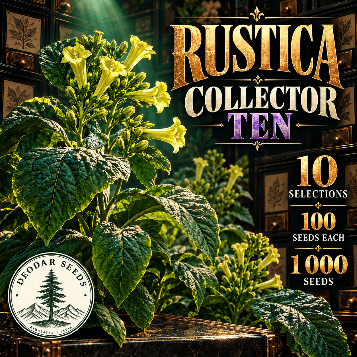 Rustica Collector Ten — 10 Seed Selections | Nicotiana rustica — AI-generated kit illustration