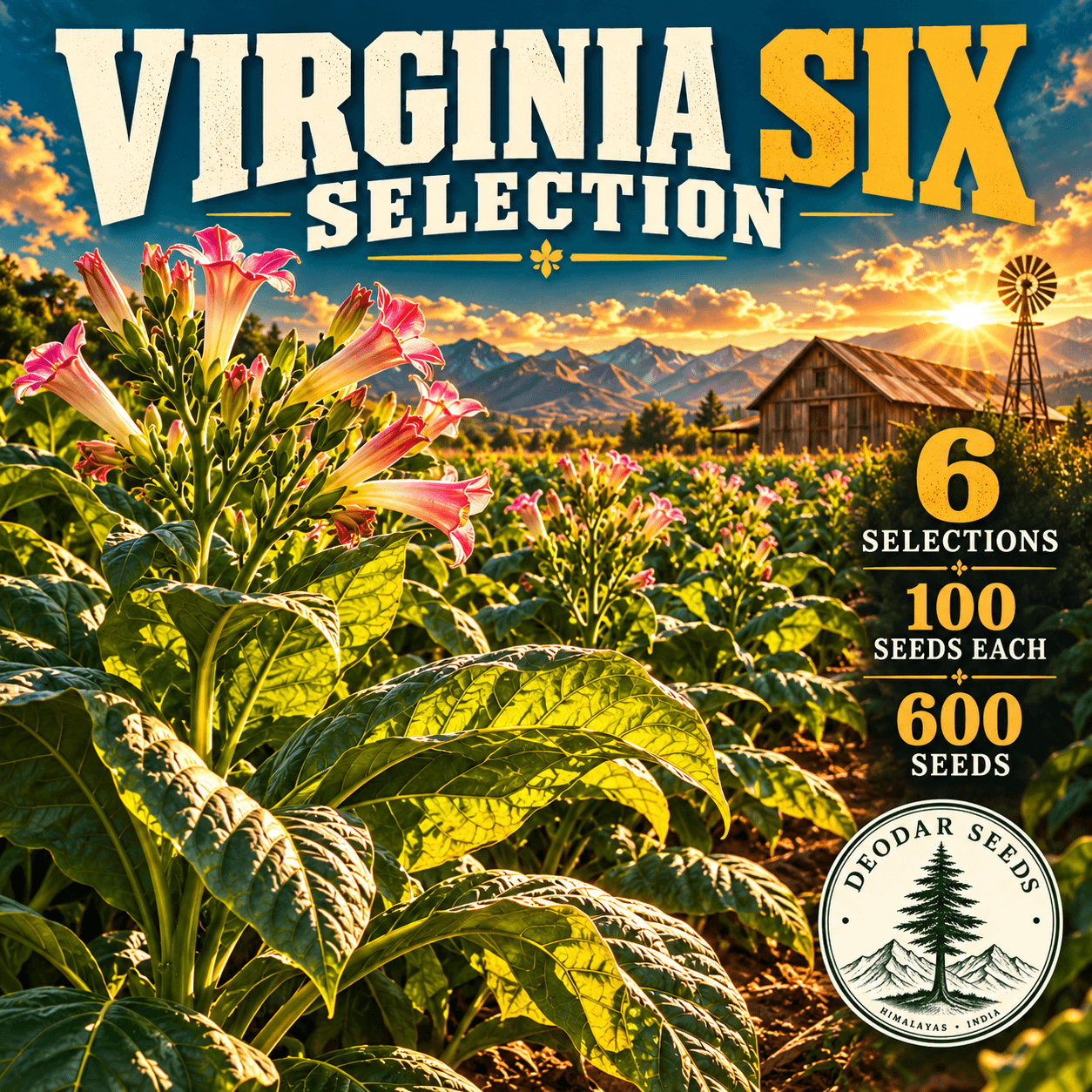 Virginia Six Selection — 6 Seed Selections | Nicotiana tabacum — AI-generated kit illustration