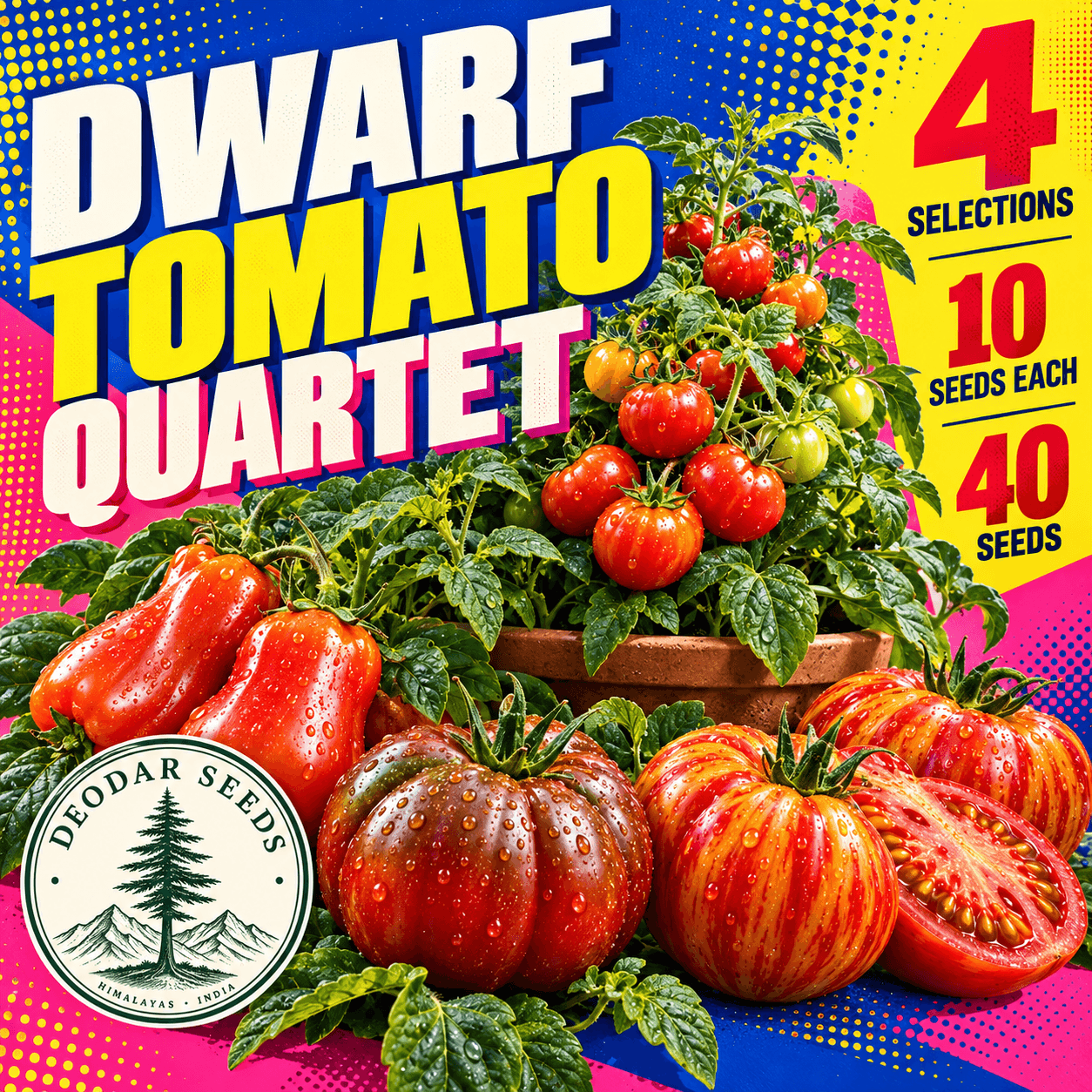 Dwarf Tomato Quartet — 4 Seed Selections — AI-generated kit illustration