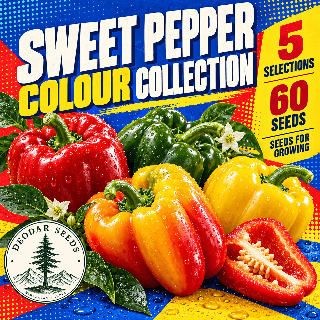 Sweet Pepper Colour Collection — 5 Seed Selections — AI-generated kit illustration