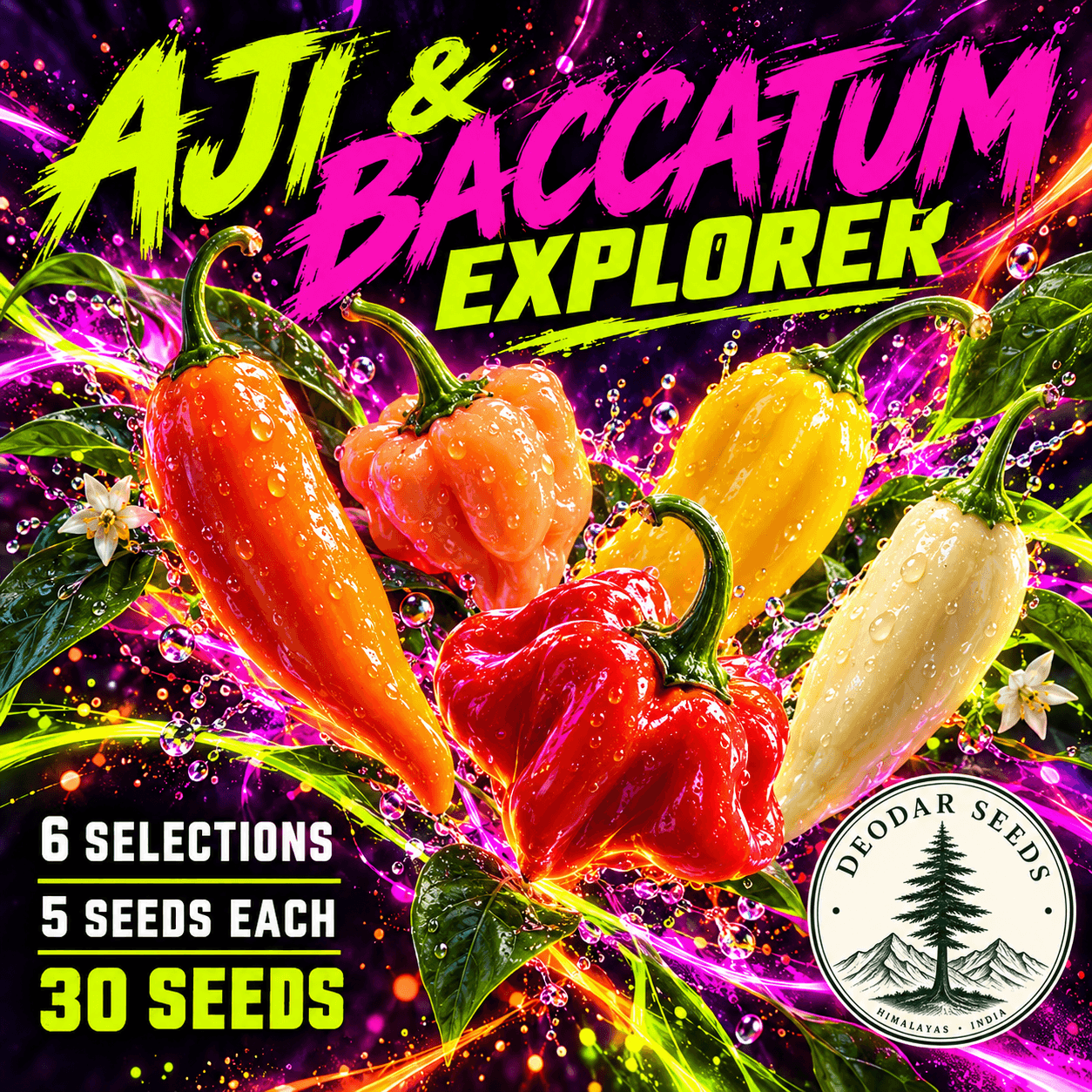 Aji & Baccatum Explorer — 6 Seed Selections — AI-generated kit illustration
