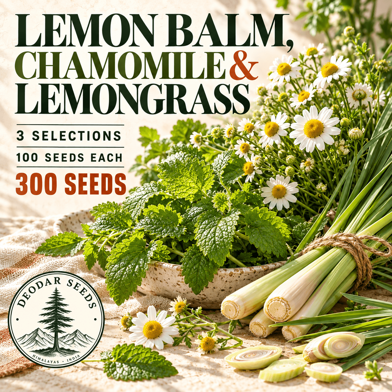 Lemon Balm, Chamomile & Lemongrass — 3 Seed Selections — AI-generated kit illustration