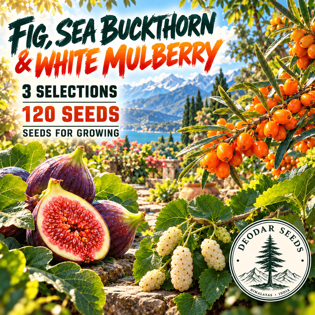Fig, Sea Buckthorn & White Mulberry — 3 Seed Selections — AI-generated kit illustration