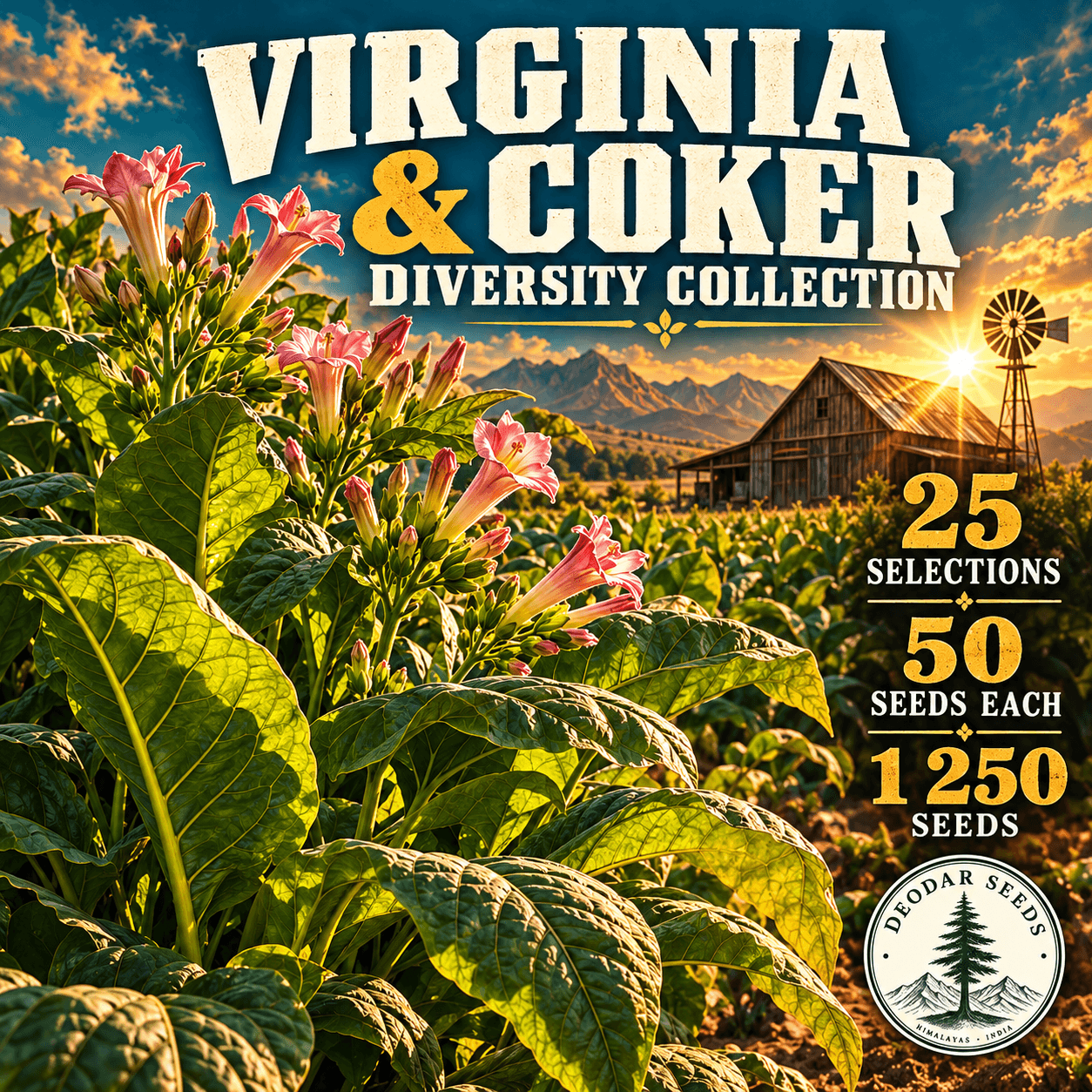 Virginia & Coker Diversity Collection — 25 Seed Selections | Nicotiana tabacum — AI-generated kit illustration