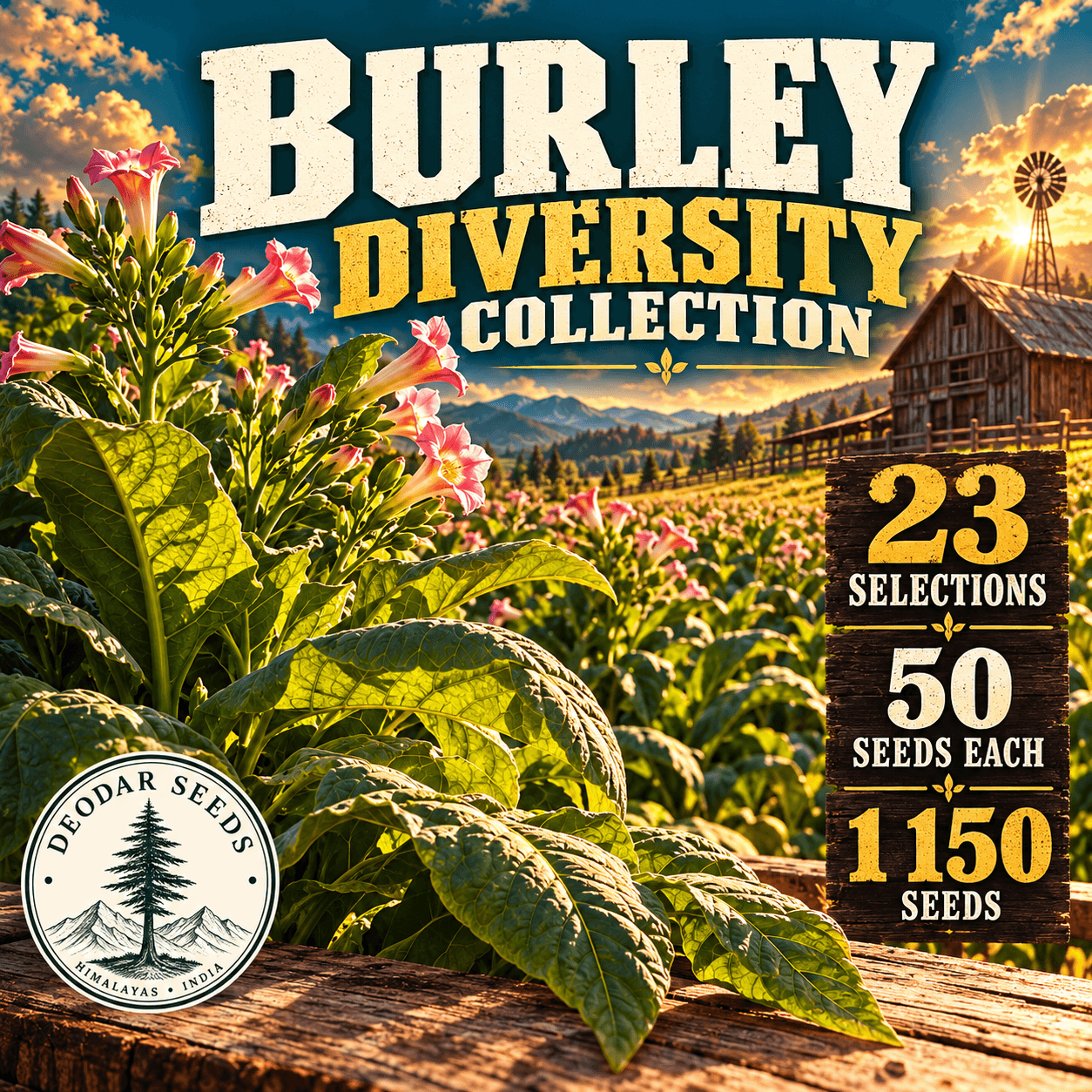 Burley Diversity Collection — 23 Seed Selections | Nicotiana tabacum — AI-generated kit illustration