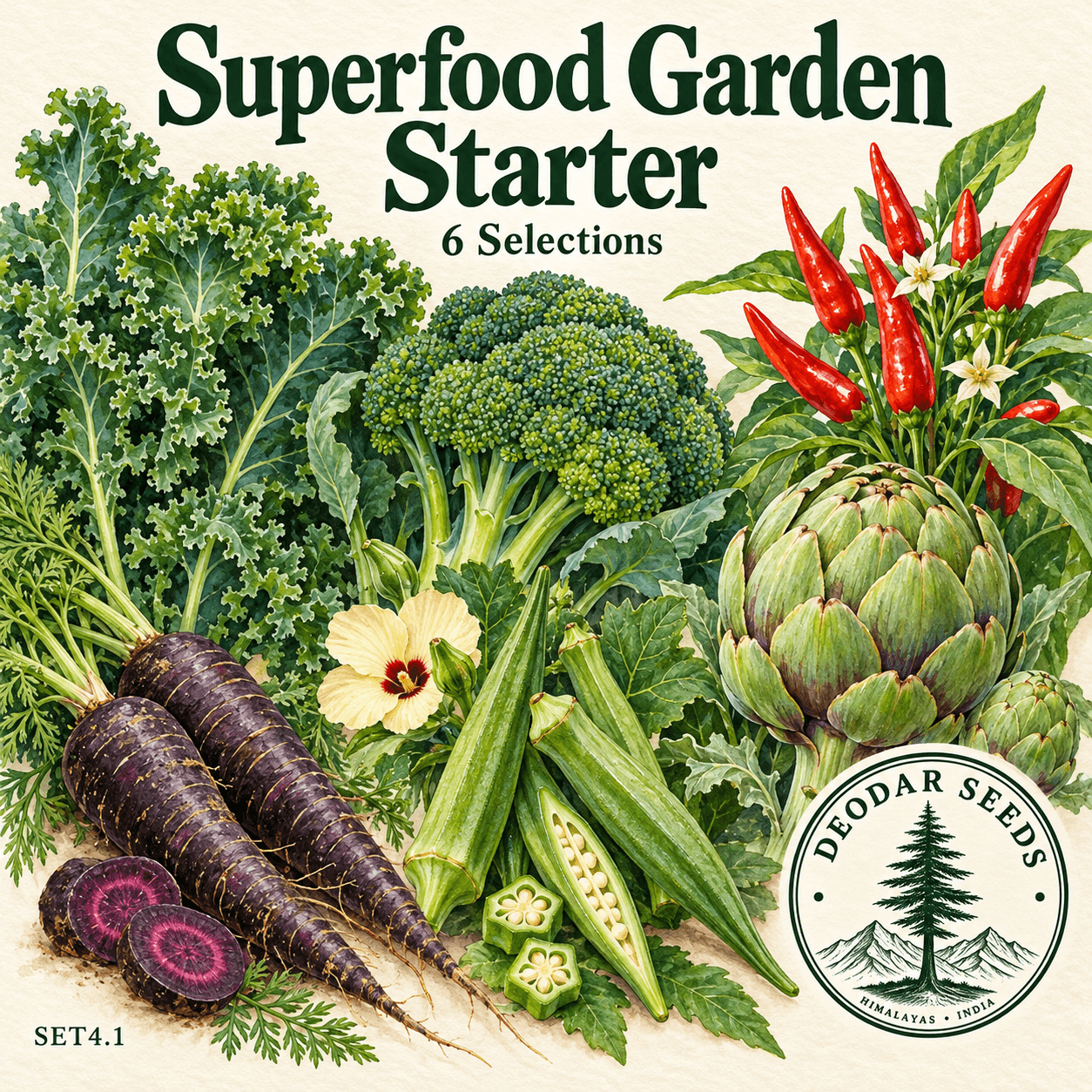 Superfood Garden Starter Kit, 6 Seed Varieties