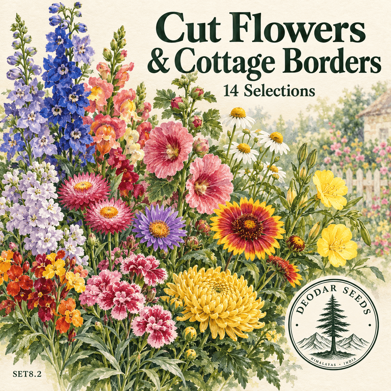 Cut Flowers & Cottage Borders — 14 Seed Selections